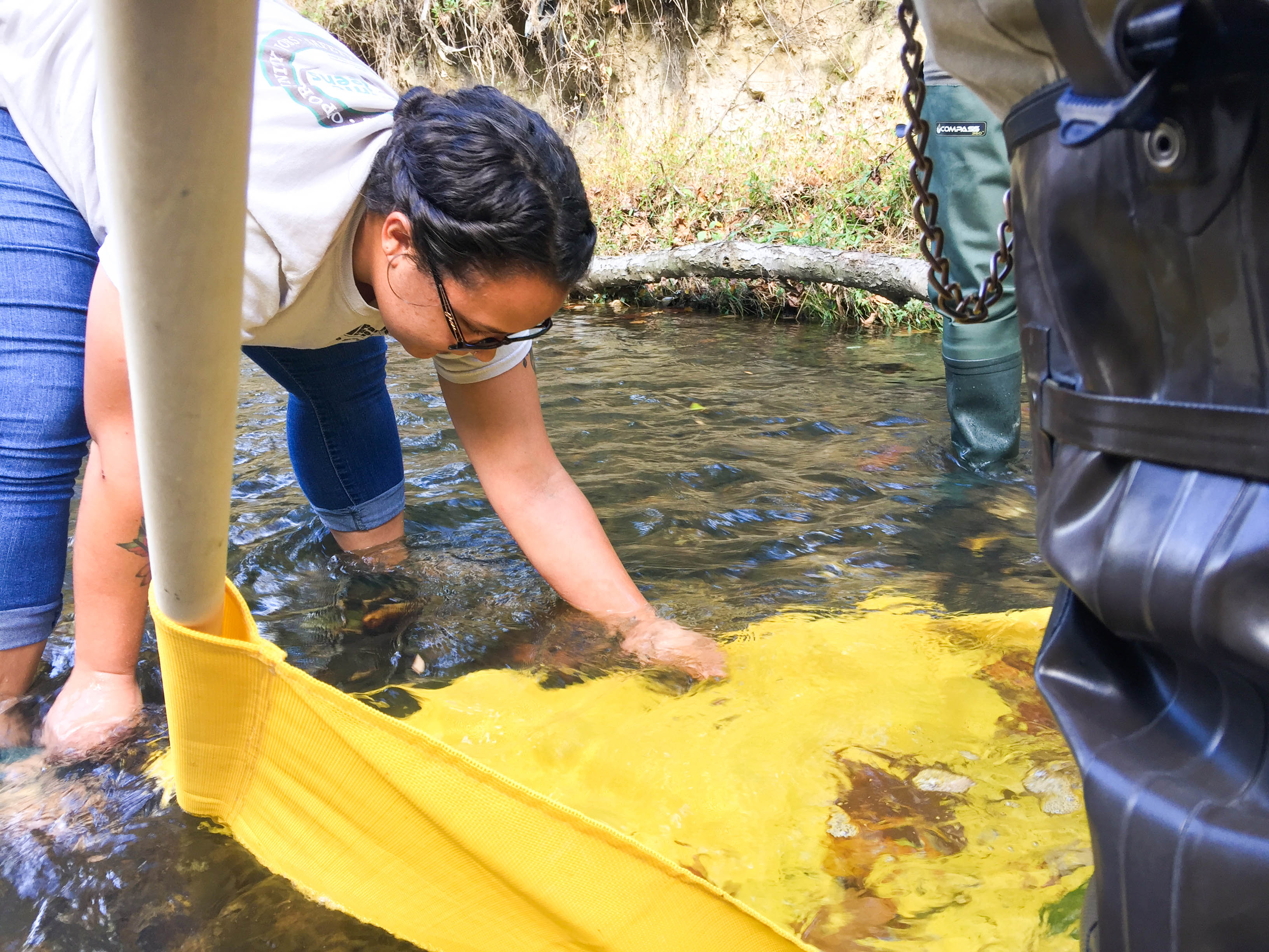 Freshwater streams and rivers are being polluted with salt •